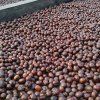 Kávové ovocie - Cascara 200g (Balenie 200g)