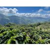 Costa Rica 3